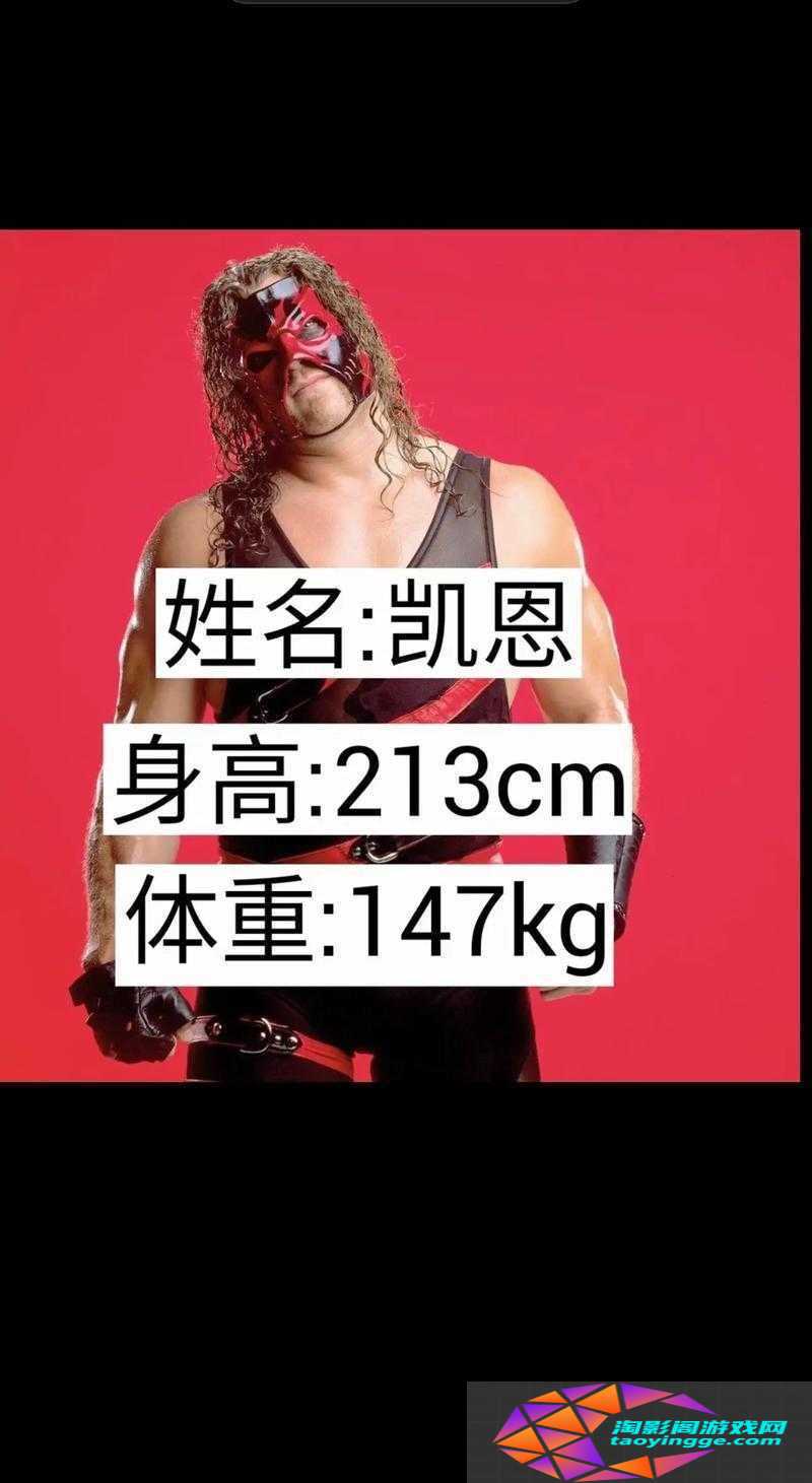 美国职业摔角-2K16-人物属性技能详解